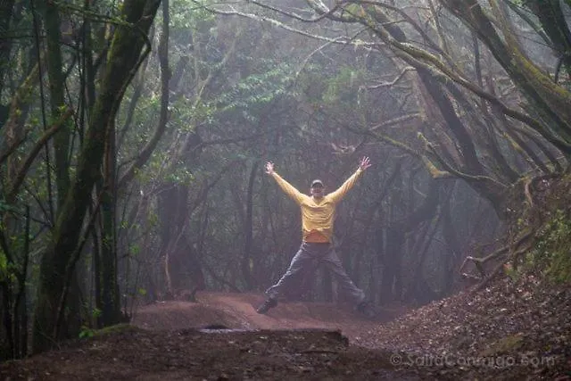 White House - Piro 公寓