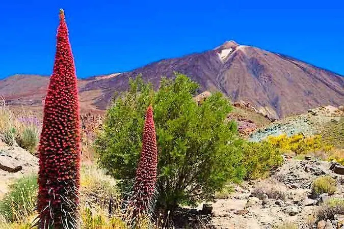 Διαμέρισμα White House - Piro