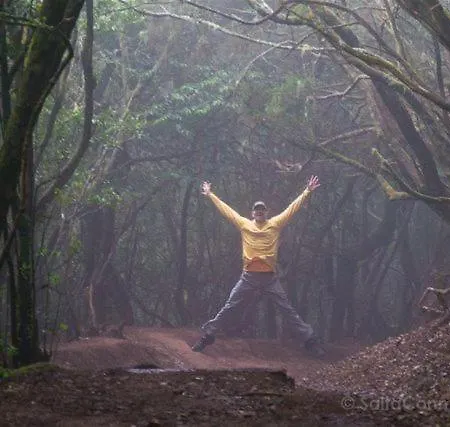 White House - Piro Daire