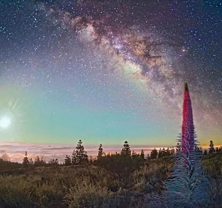 White House - Piro Daire