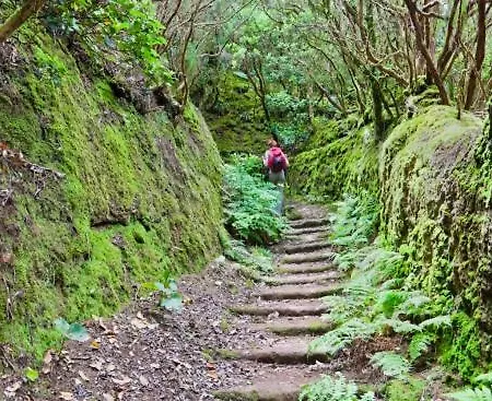 White House - Piro *