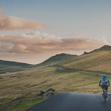 Daire White House - Piro