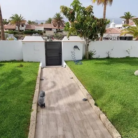 White House - Piro Daire