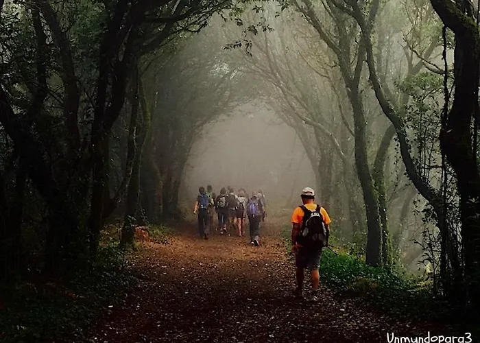 Daire White House - Piro San Miguel de Abona