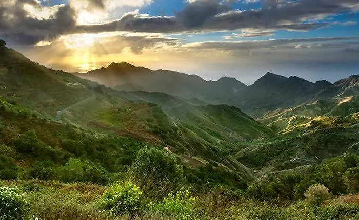 White House - Piro Daire